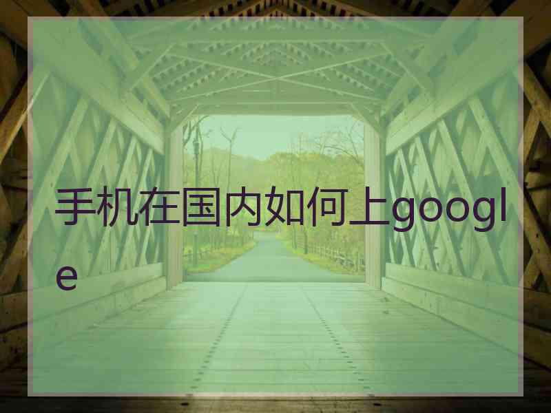 手机在国内如何上google