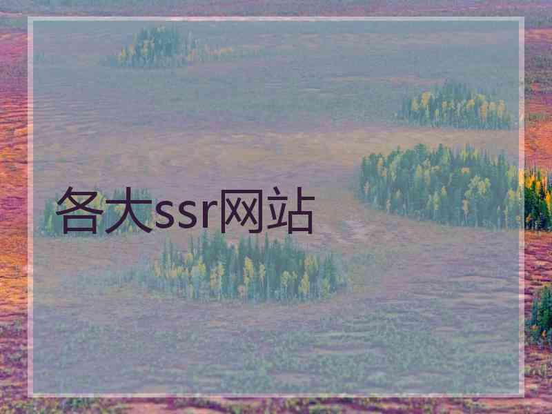 各大ssr网站