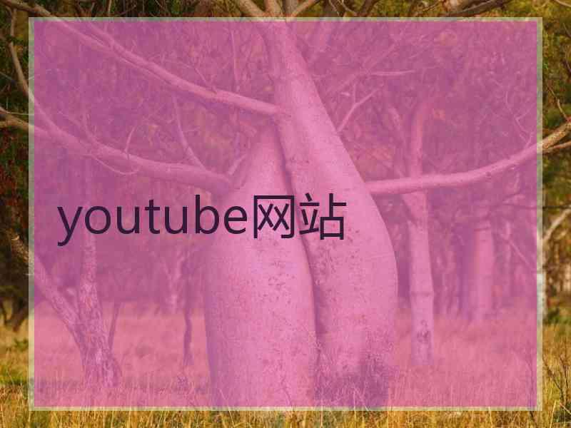 youtube网站